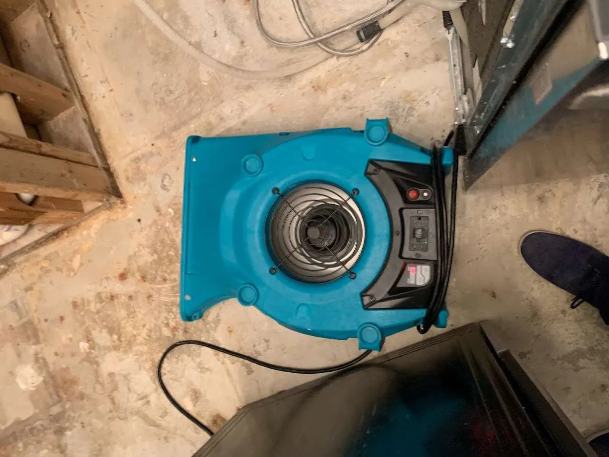 Air mover drying equipment for Mold Remediation & Removal in Allen Park